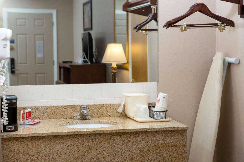 eine Badezimmerablage mit Waschbecken und Spiegel in der Unterkunft Econo Lodge Sturbridge Route 20 in Sturbridge