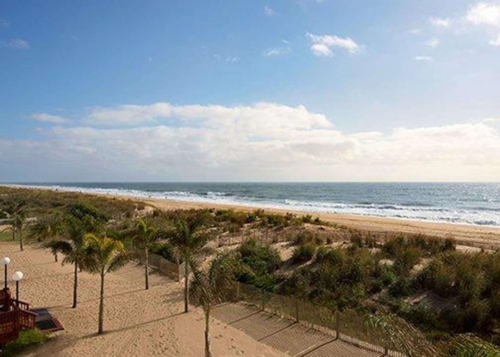 uma praia arenosa com palmeiras e o oceano em Quality Inn Oceanfront em Ocean City