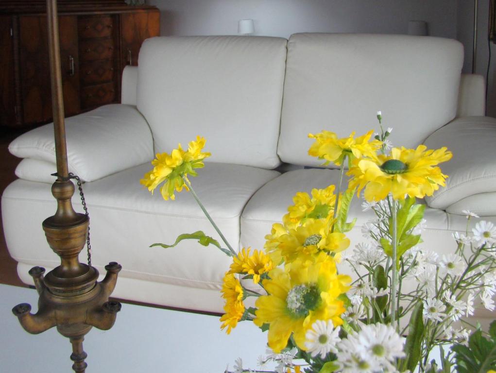 Turtle Apartments - 14