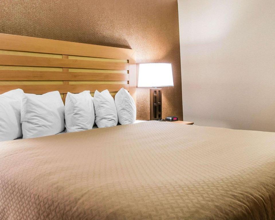 Quality Inn & Suites Warren - Detroit - King Suite Avec Canapé-lit - Non-fumeur