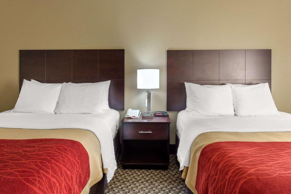 Comfort Inn Horn Lake - Southhaven - Habitación Con 2 Camas Grandes - No Fumadores