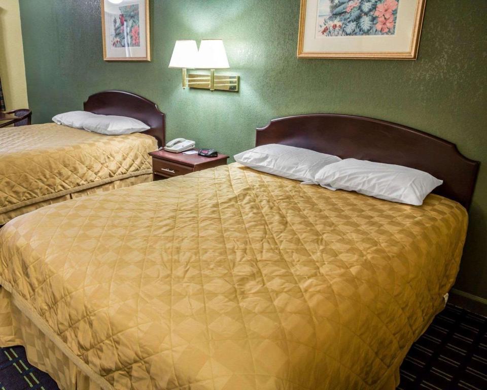 Rodeway Inn & Suites Plymouth Hwy 64 - Habitación Doble Estándar