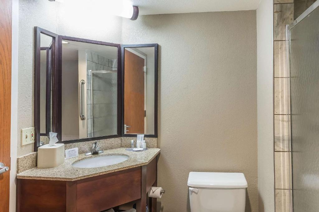 a bathroom with a sink and a toilet and a mirror at Comfort Inn SW Omaha I-80 in Omaha