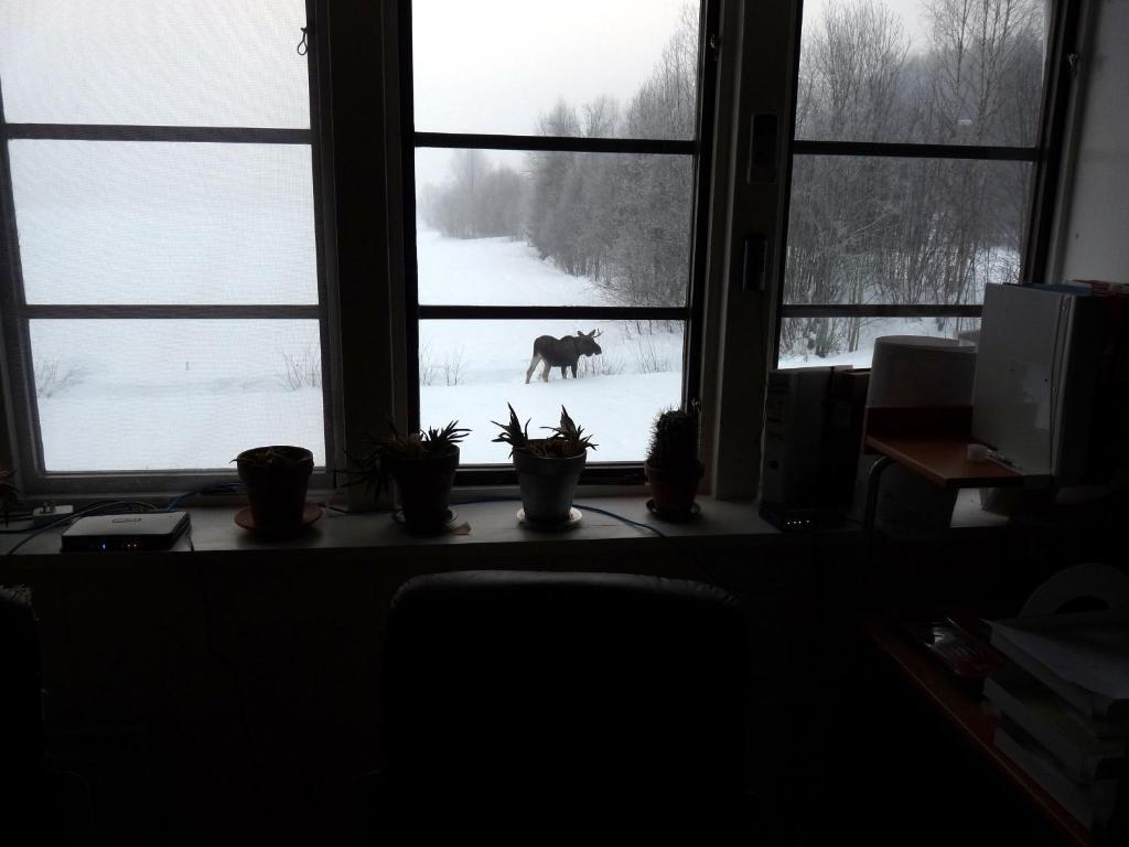 Příroda nedaleko apartmánu