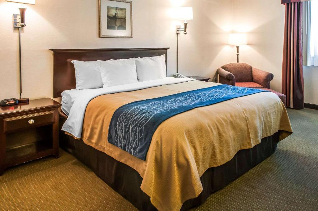 Кровать или кровати в номере Comfort Inn Las Vegas New Mexico