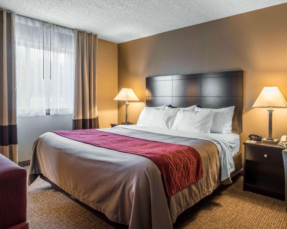 Comfort Inn - Camera Re Con Divano Letto