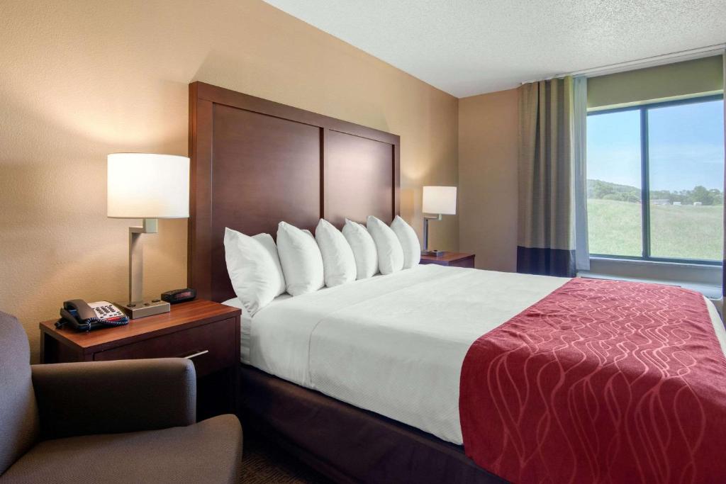 Comfort Inn & Suites Cooperstown - Milford - Room King Con Ducha Enrollable: Accesible/no Fumar