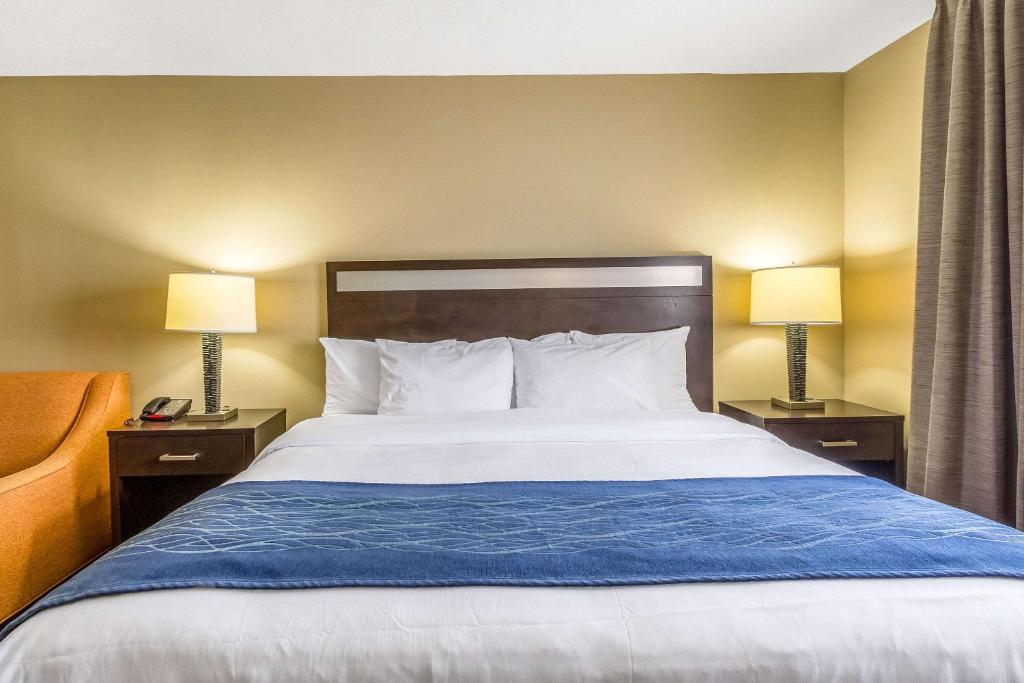 Comfort Inn Independence - Cleveland photo