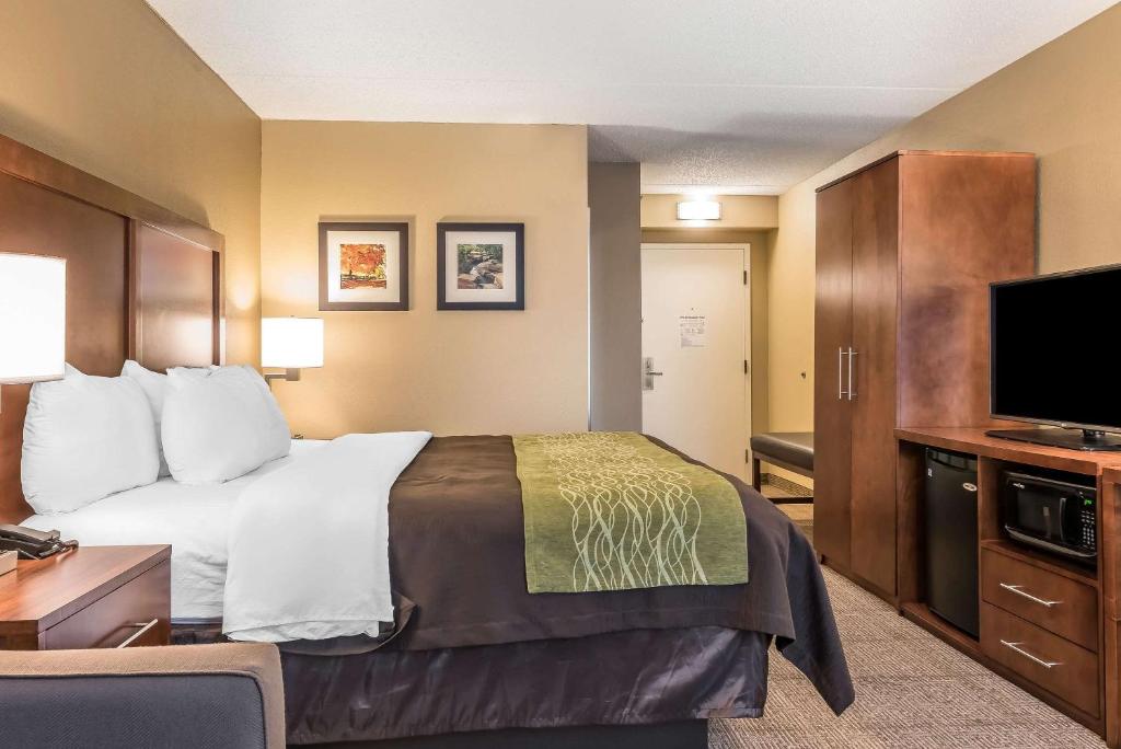 Comfort Inn & Suites Piqua-Near Troy-I75 - Salle King Standard - Non-fumeur