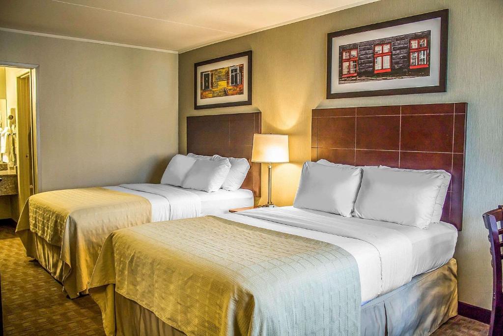 Quality Inn - Double Room