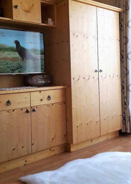TV a/nebo společenská místnost v ubytování Gästehaus Zedlacherhof