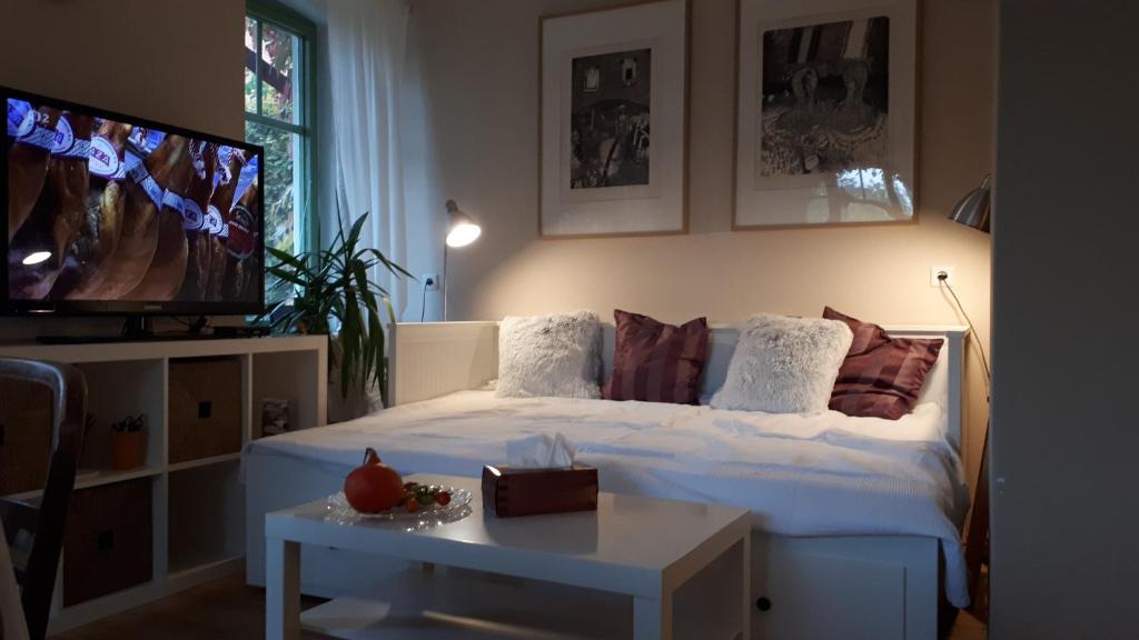Postel nebo postele na pokoji v ubytování Apartmány Ruprechtov