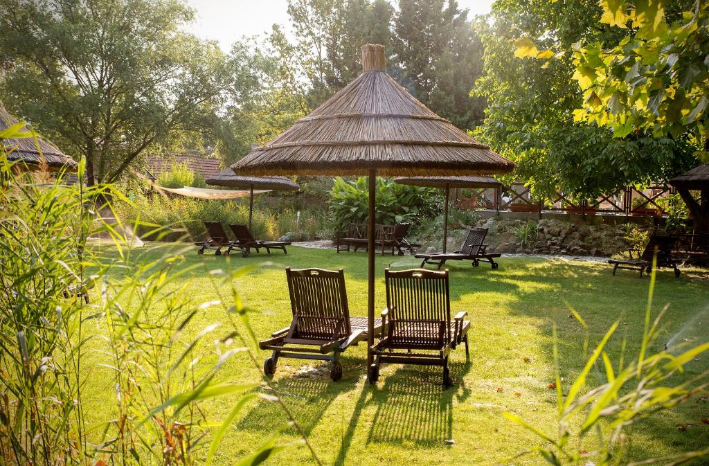 Zahrada ubytování Orchidea Hotel Lipót