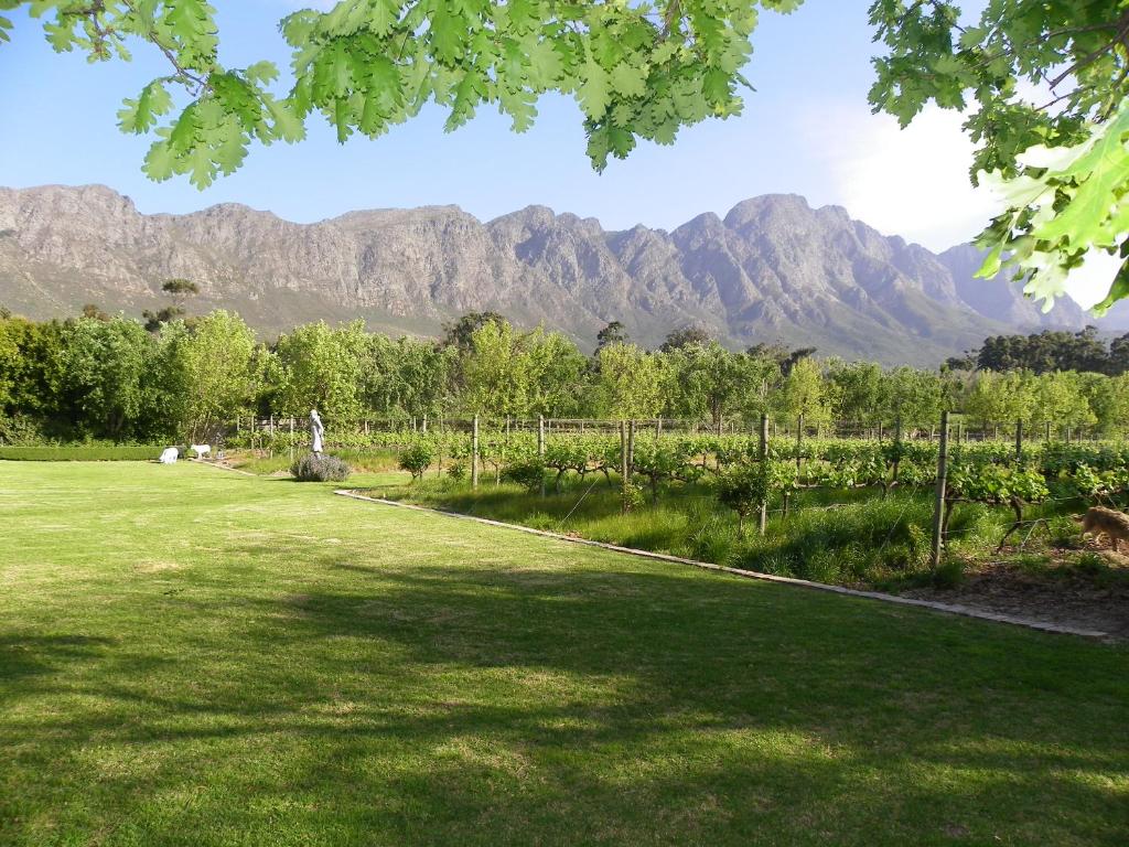 a field of grass with mountains in the background at Franschhoek Rose Cottages in Franschhoek