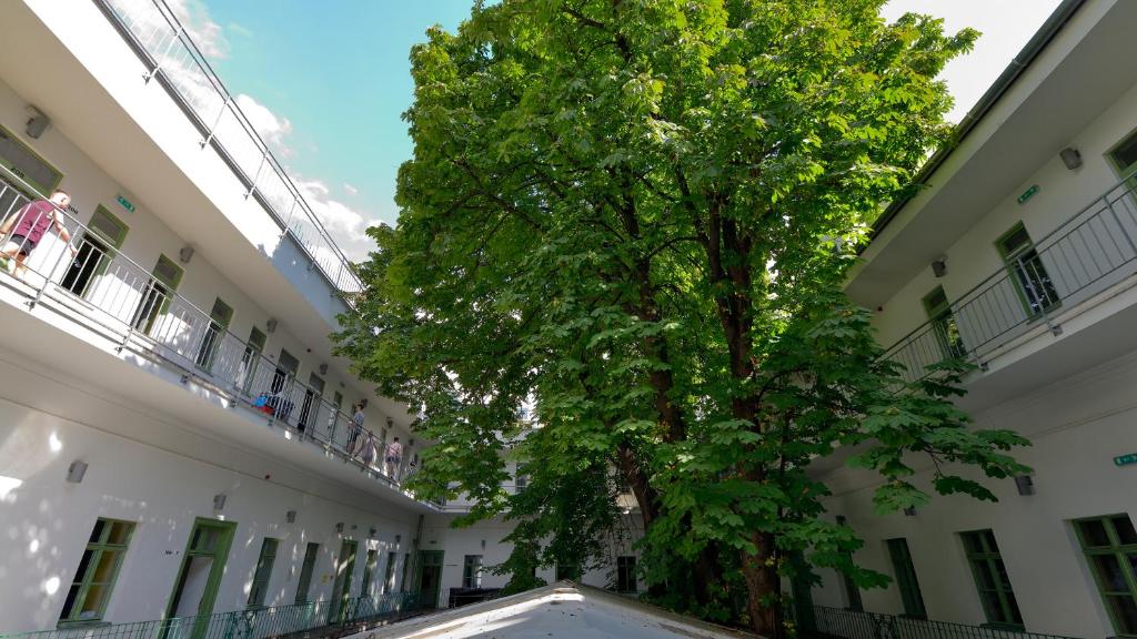 Budova, kde se hostel nachází