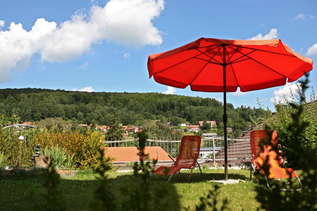 Příroda nedaleko hotelu