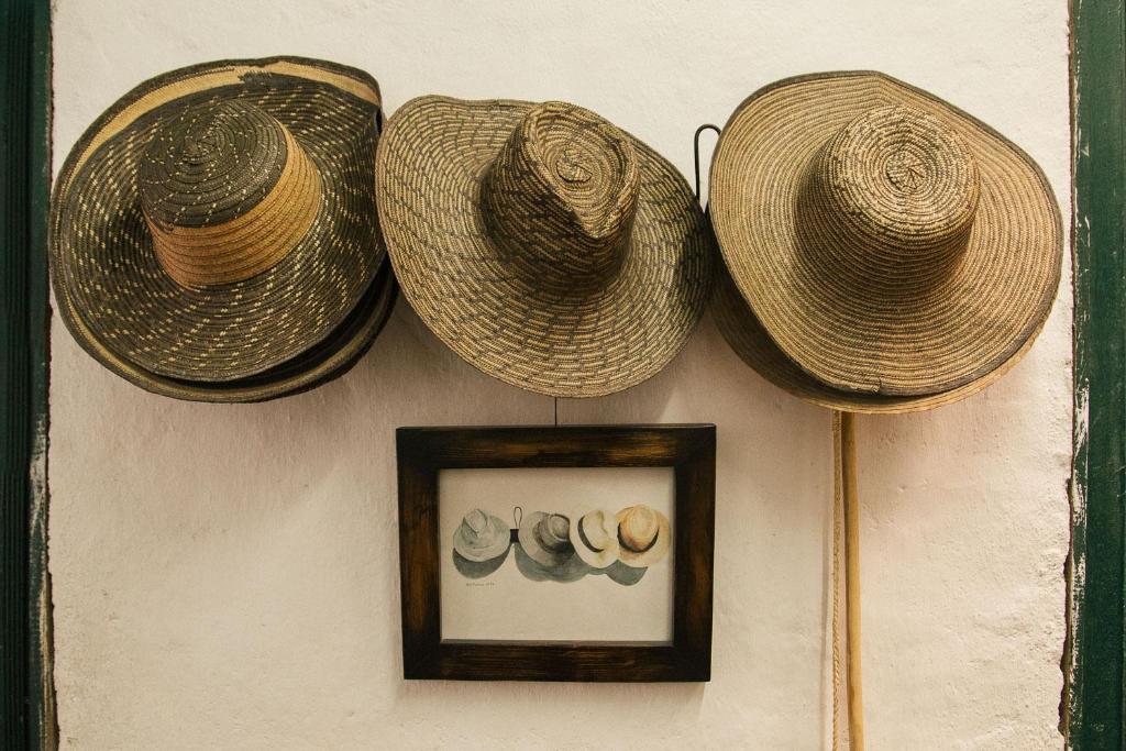 Foto de la galeria de Hostal La Casa De Lili a Salento