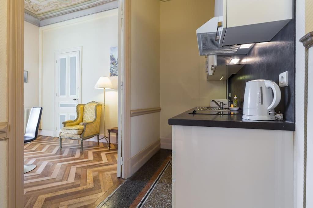 Kuchyň nebo kuchyňský kout v ubytování Résidence La Villa Léonie