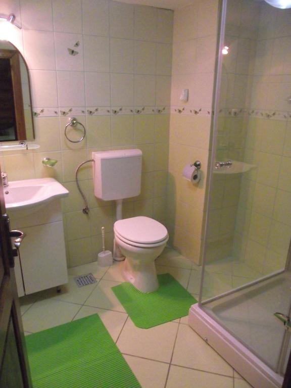 Vannituba majutusasutuses Cabana Piatra Runcului