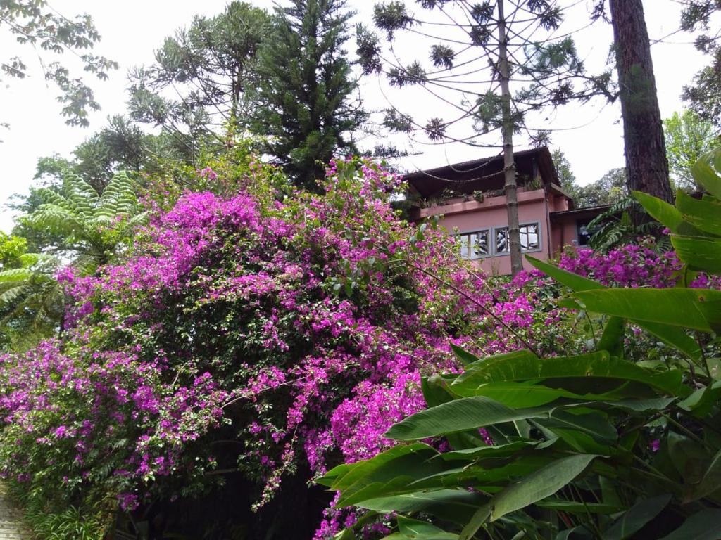  Casa Fazenda Inglesa Petrópolis RJ