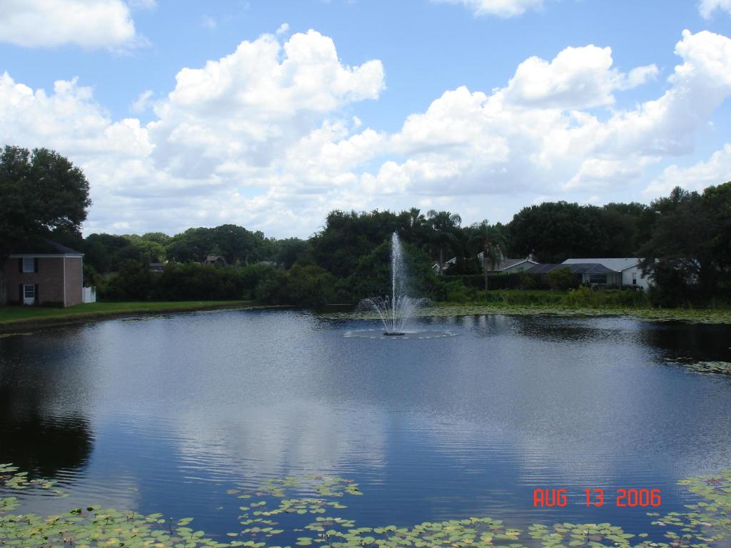 a pond with a fountain in the middle of it at Beautiful Condo Close to Busch Gardens in Tampa