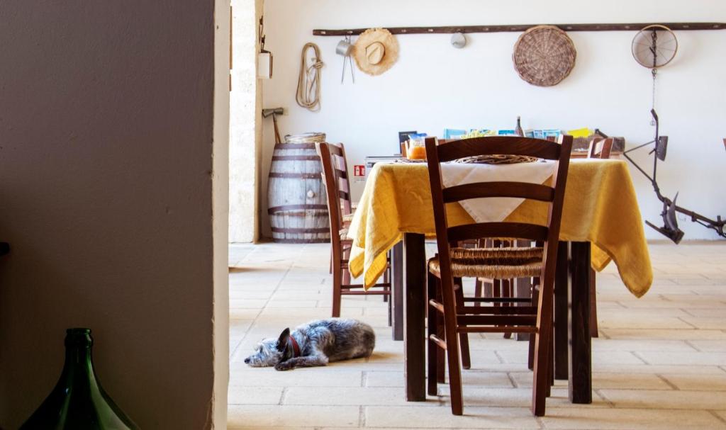 Posezení v ubytování Masseria Uccio