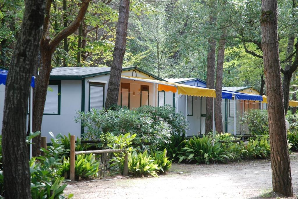Zahrada ubytování Holiday Center Valdor