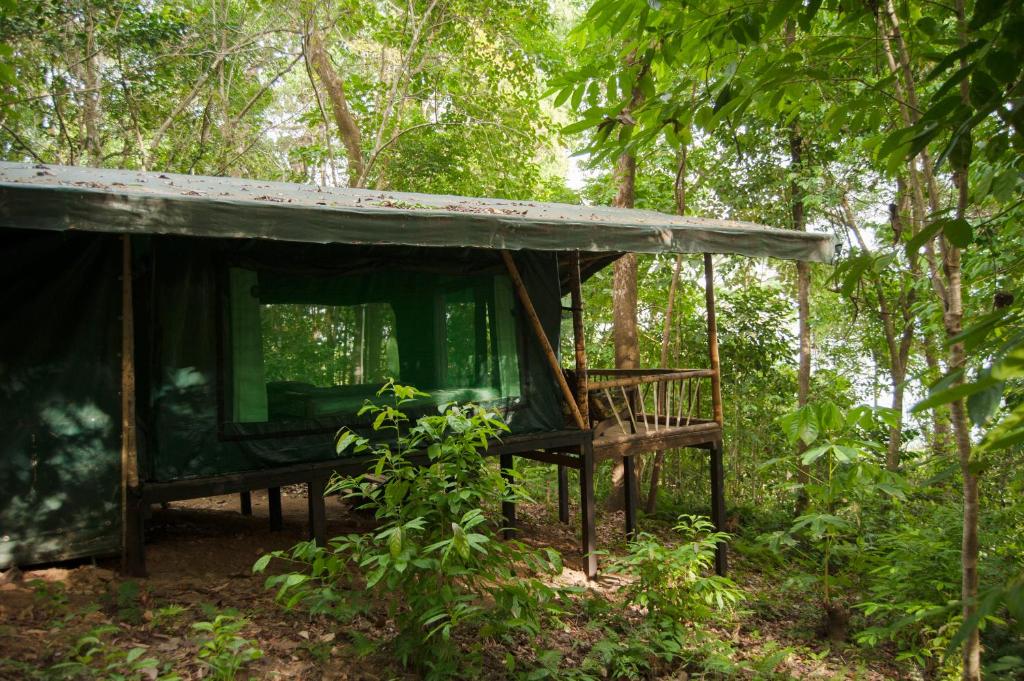 Zahrada ubytování La Leona Eco Lodge