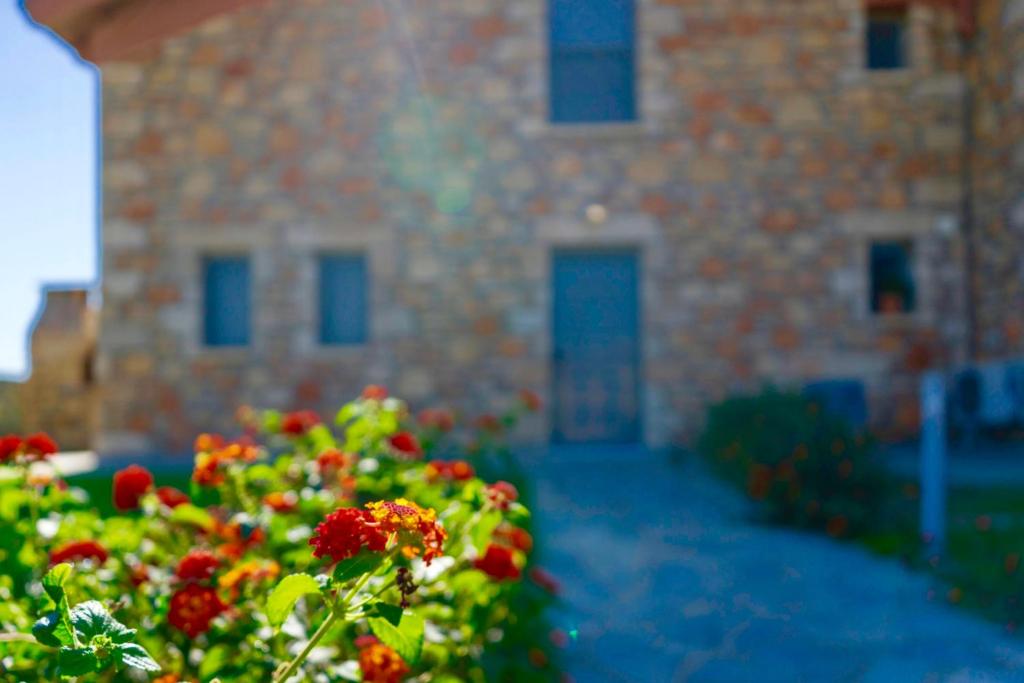 A garden outside Estrella Villas