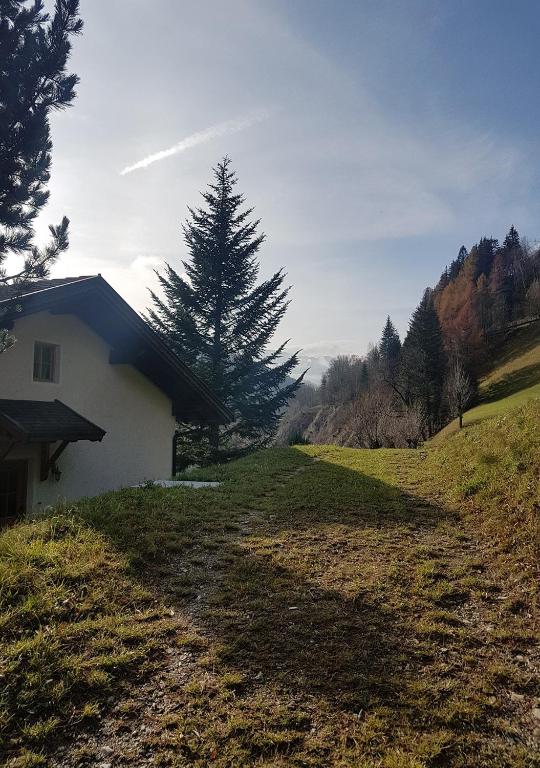 Príroda v okolí apartmánu
