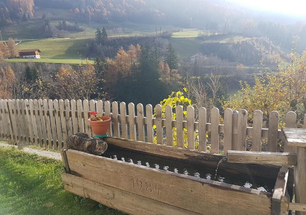 Príroda v okolí apartmánu
