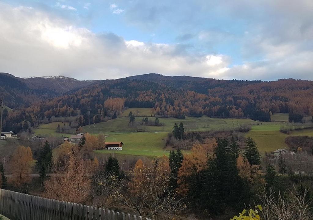 Príroda v okolí apartmánu