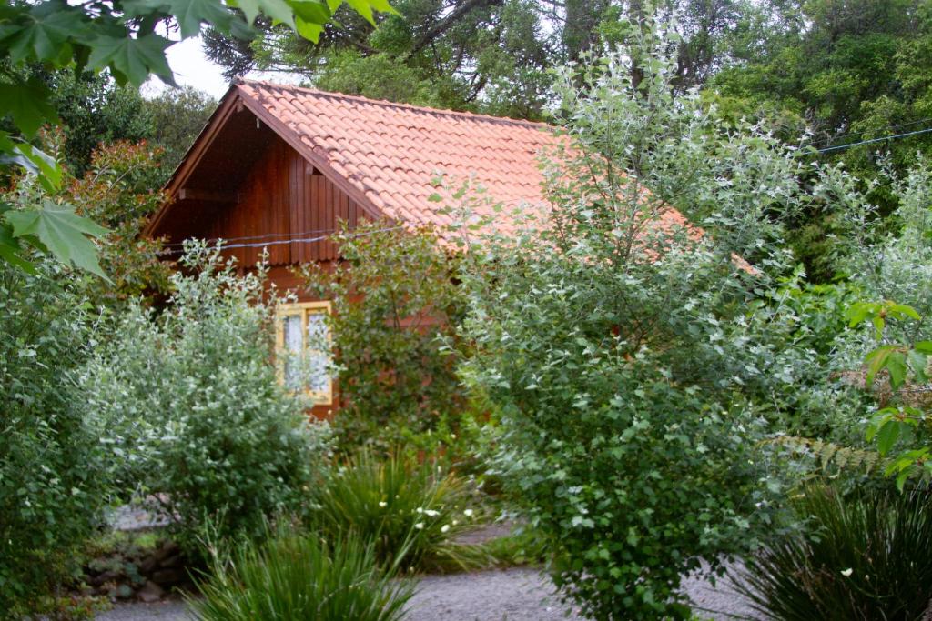 Zahrada ubytování Café e Cabanas Lenha no Fogo