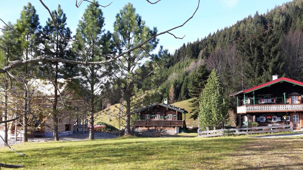 Príroda v okolí horskej chaty