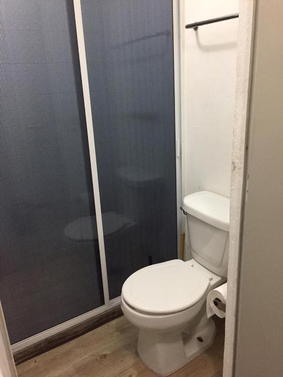 Bonito Departamento en el Centro de Guadalajara - Apartamento - Planta Baja