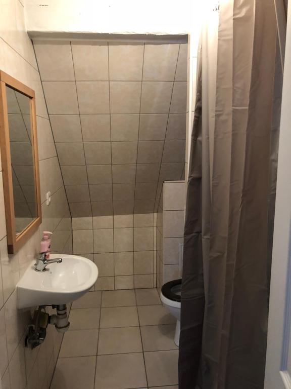 Duplex Hyper centre colmar – photo 7