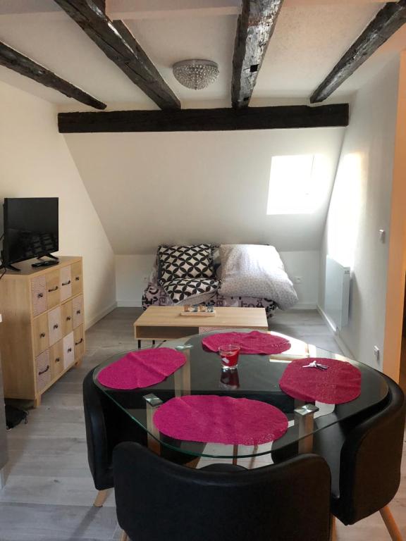 Duplex Hyper centre colmar – photo 10