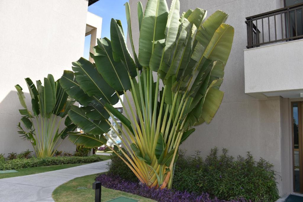  Boutique Ecolife