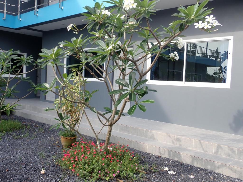 48Green House