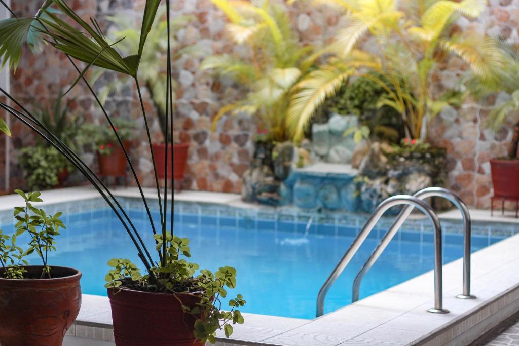 a swimming pool with potted plants next to it at Hotel Rio Mayo in Moyobamba
