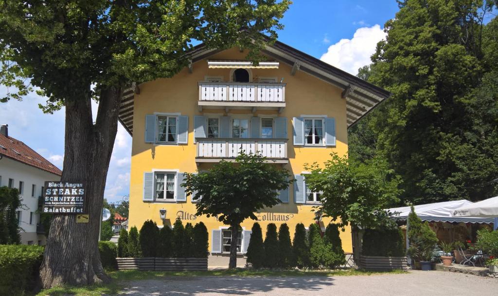 une maison jaune avec un arbre devant elle dans l'établissement Altes Zollhaus, à Bad Tölz