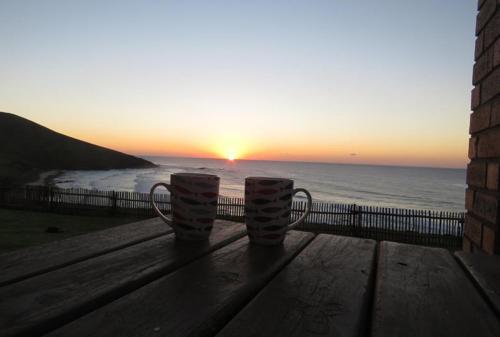 due tazze da caffè sedute su una panchina con vista sull'oceano di Bare Foot Cottage a Hole in the Wall