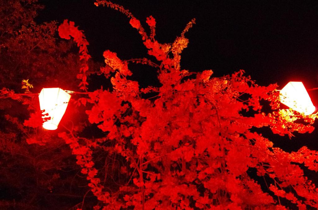 Fotografie z fotogalerie ubytování Resort Garni CORU v destinaci Nagawa