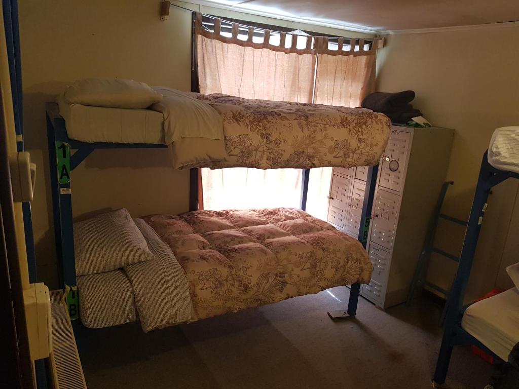 Ce dortoir comprend 2 lits superposés et une fenêtre. dans l'établissement Patagonia House, à Punta Arenas
