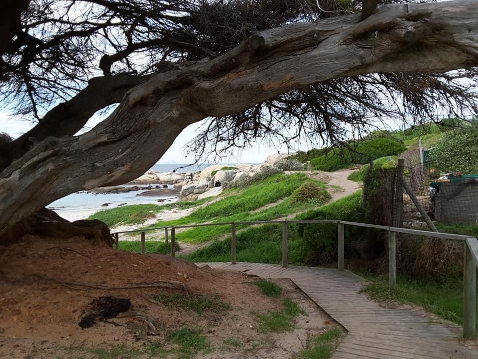 Porcupine Walk - Appartamento Con Terrazza