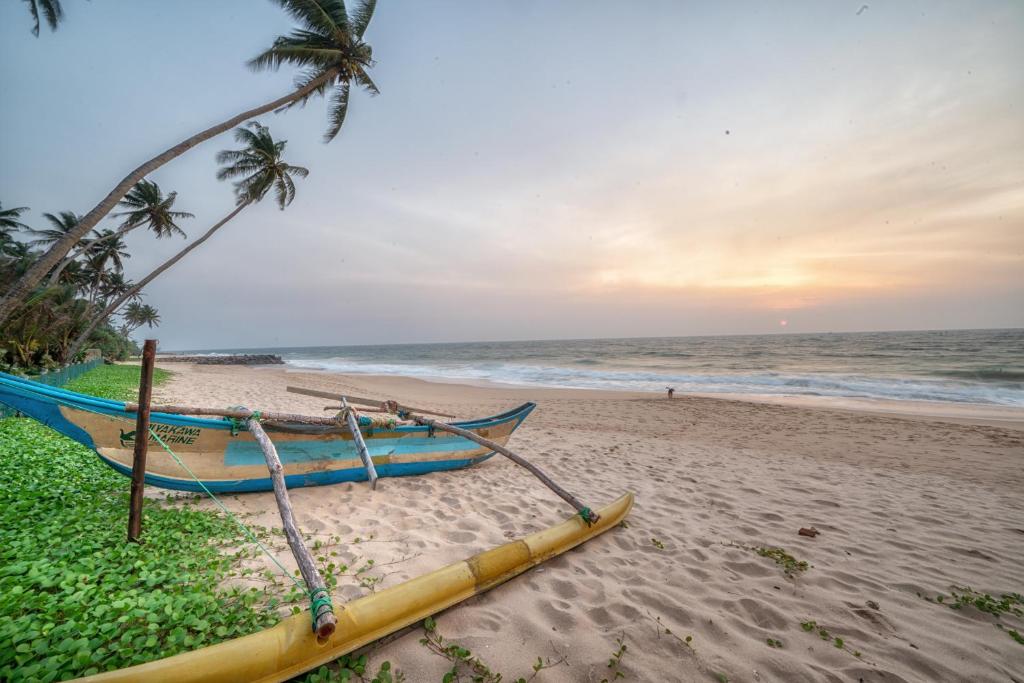 a boat on a beach with palm trees and the ocean at Greenparrot-Villa in Ambalangoda