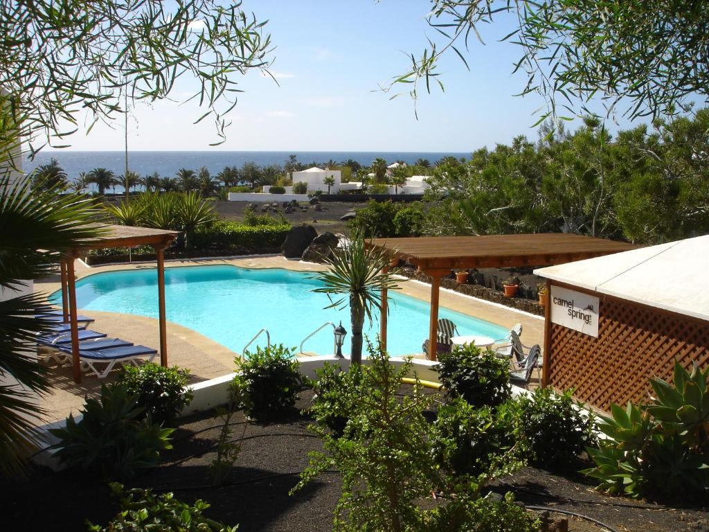 a swimming pool with a view of the ocean at Camel's Spring Club in Costa Teguise