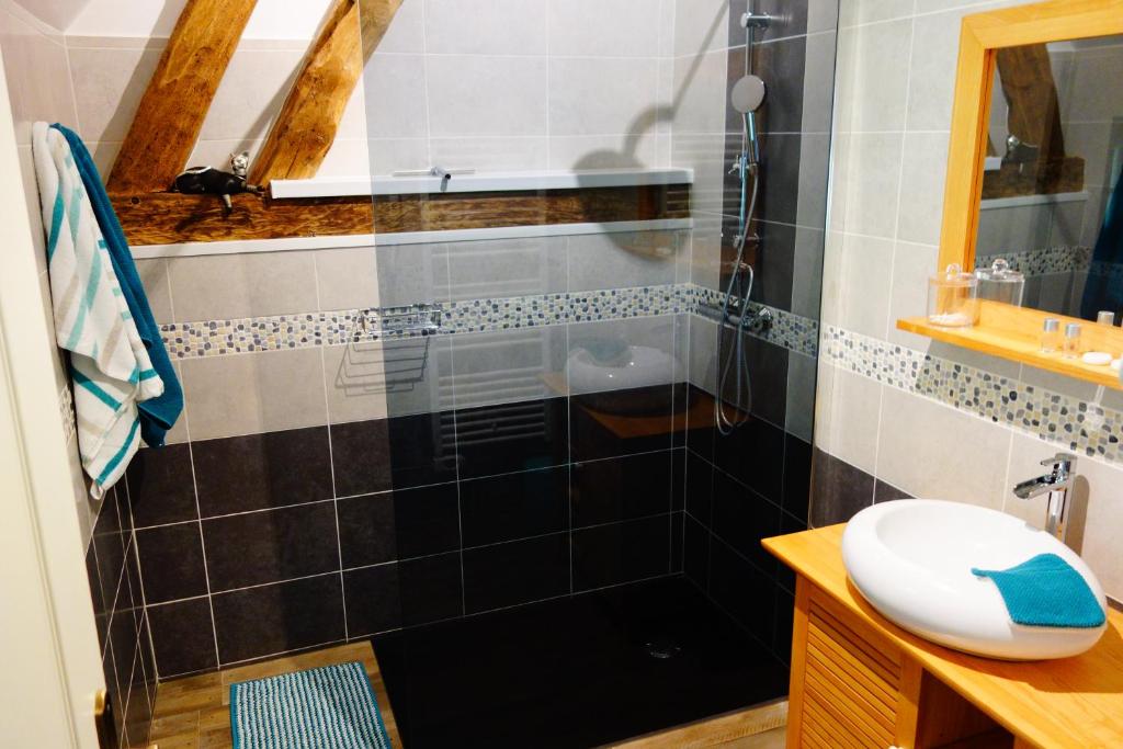 a bathroom with a shower with a toilet and a sink at La Ferme De Tigny in Tigny-Noyelle