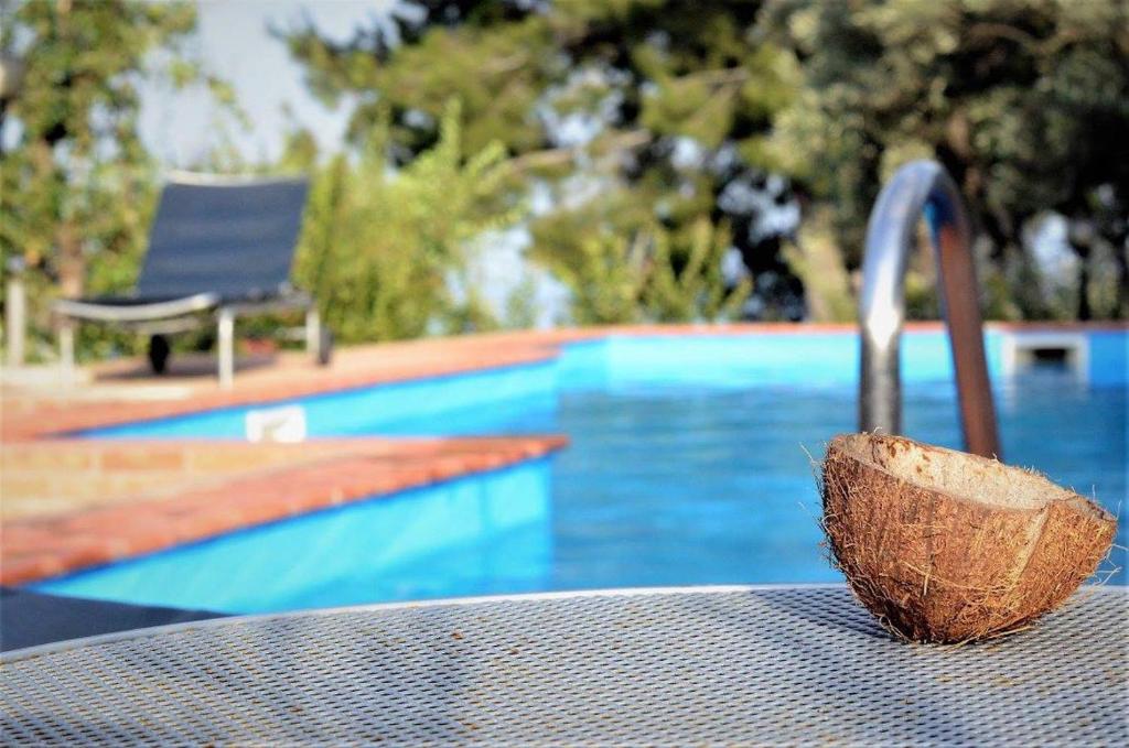 Bazén v ubytování Residence Cassiodoro nebo v jeho okolí