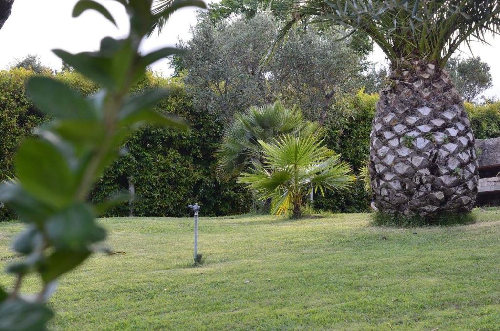 Zahrada ubytování Residence Cassiodoro
